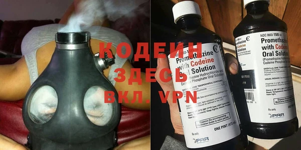 гидра Верхний Тагил