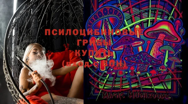 spice Володарск